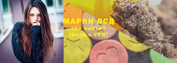 ПСИЛОЦИБИНОВЫЕ ГРИБЫ Балабаново