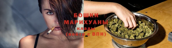 ПСИЛОЦИБИНОВЫЕ ГРИБЫ Балабаново
