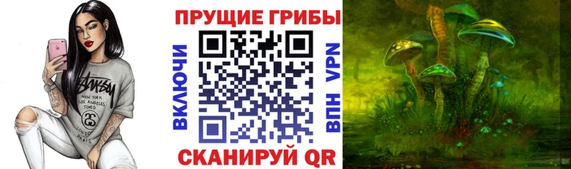 Псилоцибиновые грибы ЛСД Сызрань